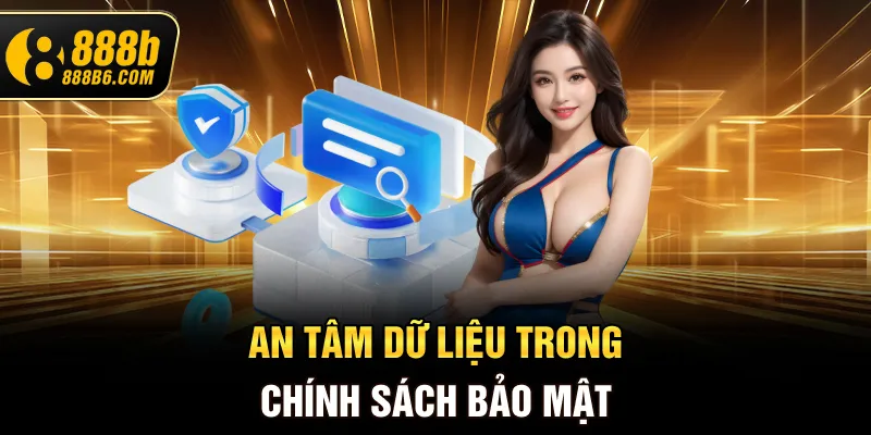 an-tam-du-lieu-trong-chinh-sach-bao-mat