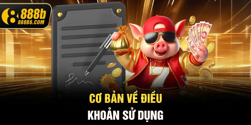co-ban-ve-dieu-khoan-su-dung