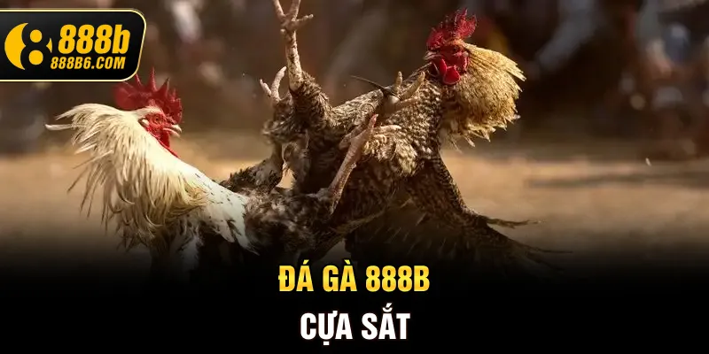 da-ga-888b-cua-sat