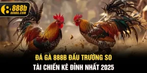 da-ga-888b6-com-dau-truong-so-tai-chien-ke-dinh-nhat-2025