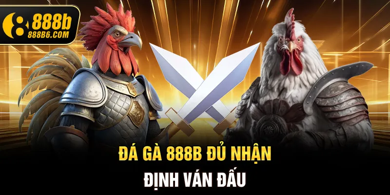 da-ga-888b-du-nhan-dinh-van-dau