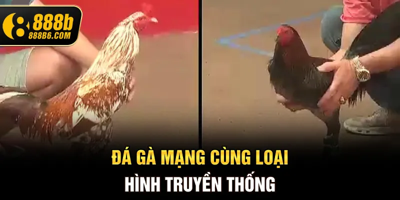 da-ga-mang-cung-loai-hinh-truyen-thong