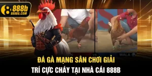 da-ga-mang-san-choi-giai-tri-cuc-chay-tai-nha-cai-888b6-com