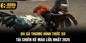 da-ga-thomo-hinh-thuc-so-tai-chien-ke-mau-lua-nhat-2025-888b6-com