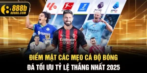 diem-mat-cac-meo-ca-do-bong-da-toi-uu-ty-le-thang-nhat-2025