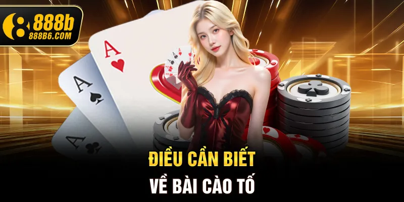 dieu-can-biet-ve-bai-cao-to