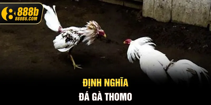 dinh-nghia-da-ga-thomo
