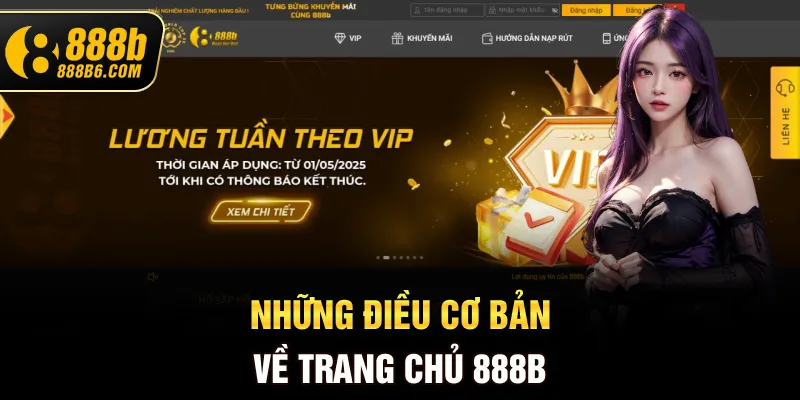 nhung-dieu-co-ban-ve-trang-chu-888b