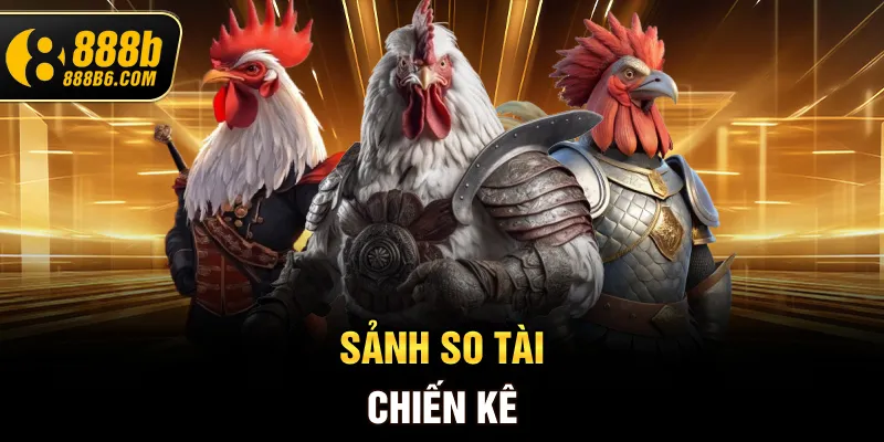 sanh-so-tai-chien-ke
