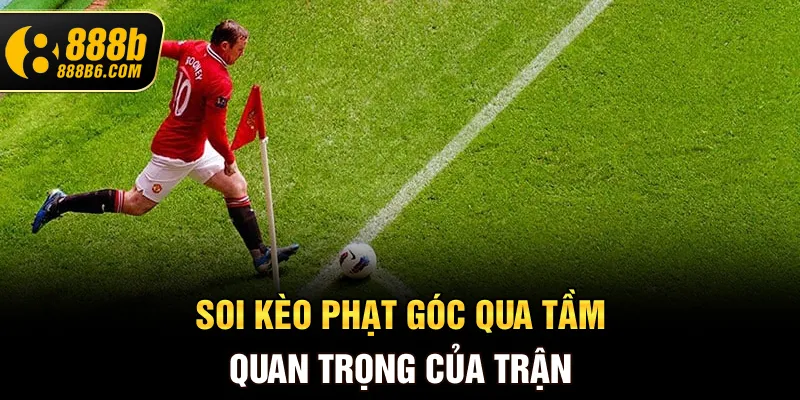 soi-keo-phat-goc-qua-tam-quan-trong-cua-tran