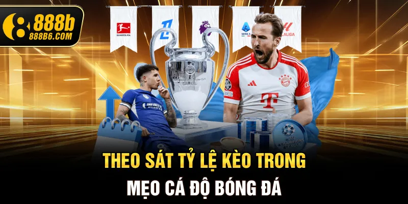 theo-sat-ty-le-keo-trong-meo-ca-do-bong-da